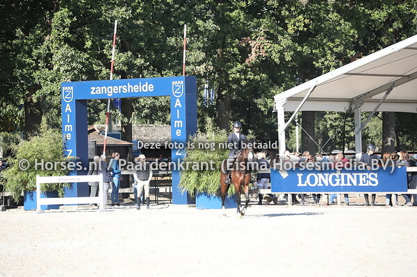 190921 Zangersheide hengstenkeuring 2019