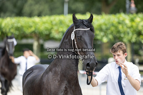 78. Princess Fon Frieden