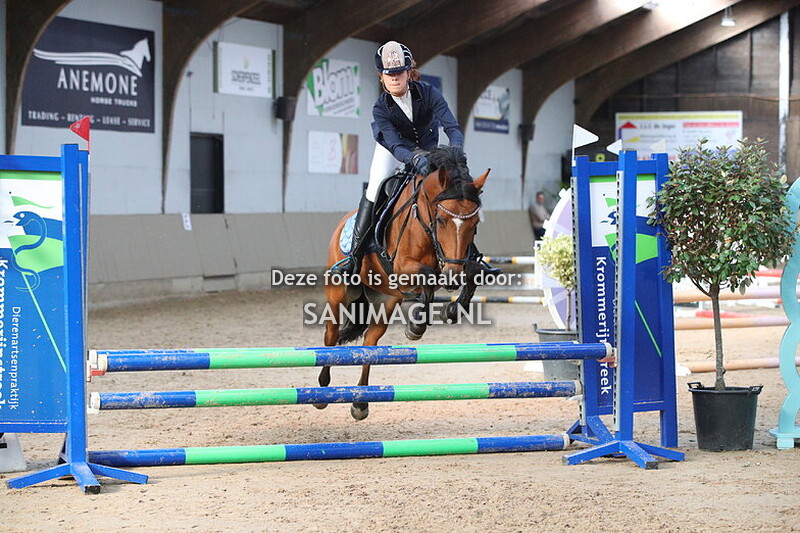 Zilfia's Hoeve Springen Pony's 27-10-2024 40 t/m 70 cm