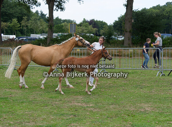Sectie WPBR, 12-07-2025