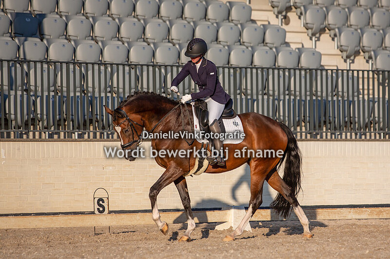 Anniek Schilt - Forlante