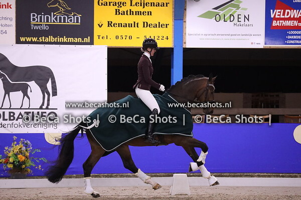 Holbatheo Kwaliteitsbeoordeling Dressuur