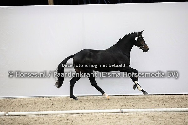 473 Nuance (Il Divo x Whistly v. Oscar)