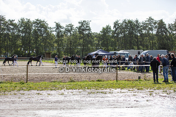 Rubriek 3c premiekeuring 3 jaar eo