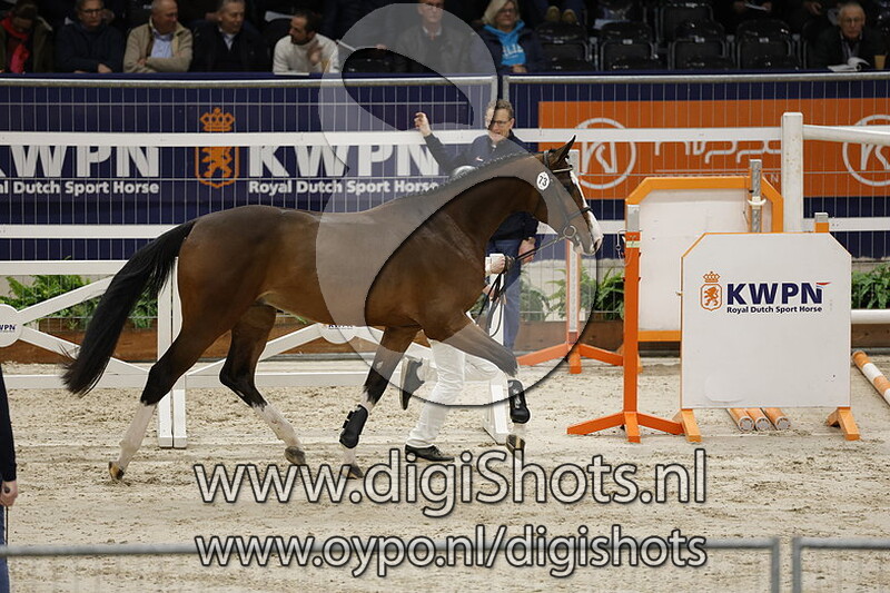 Rayder Reno Mb v. Grandorado Tn - 073