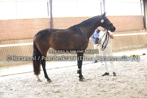 10 Soof (Ibiza x Kiki v. Glamourdale)