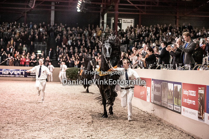 Hengstenkeuring 2020 Matthys 504