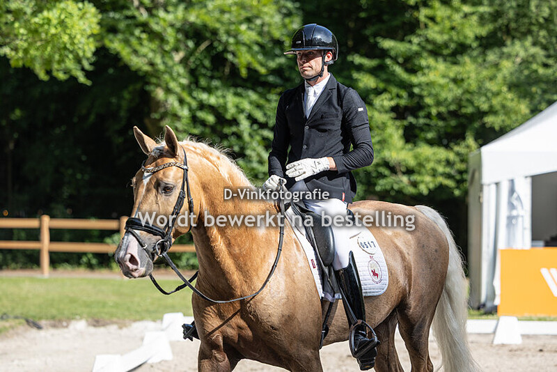 Dirk-Jan van de Water - Odin