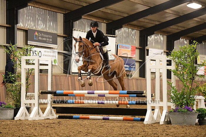 Newton van de Prinsenstad