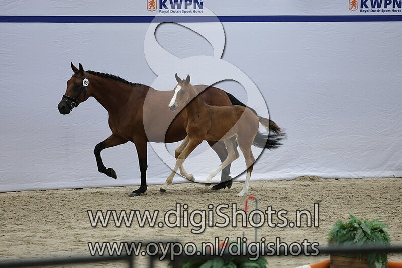 Veniaze v. Lamaze TN