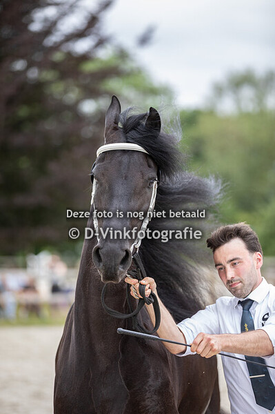 50. Mette van Raepshille