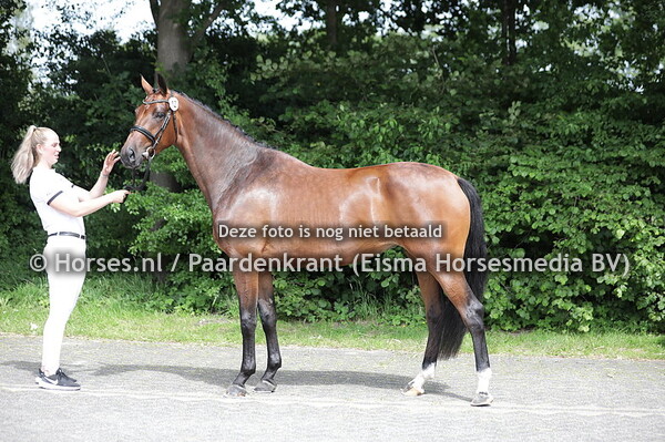 12 Odessa v. Painted Black x Kalista v. Fairytale)