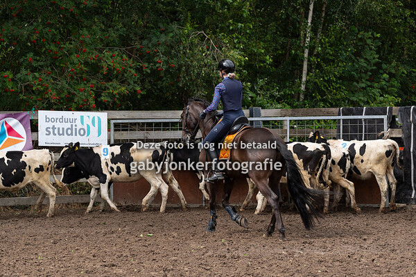 TWE Vledder 06-07-24