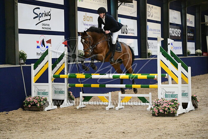 Dane Leemans - Topspin