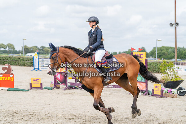 NH Regionals 110cm paarden