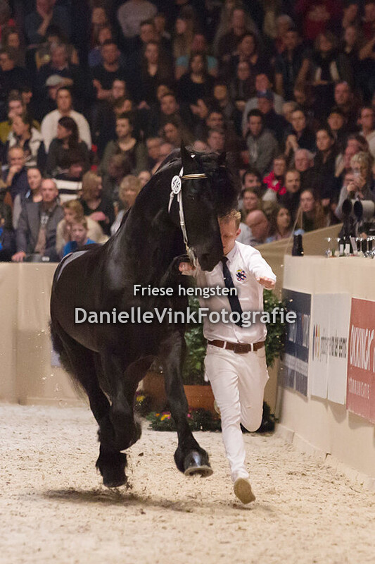 Hengstenkeuring 2018 Aan 416