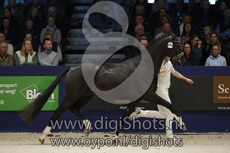 Rockiezelma v. Kaygo - 424