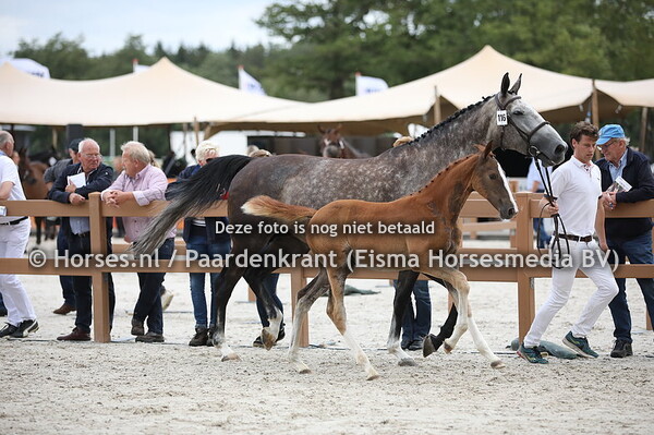116 Ocelotte DDH (Kasper DDH x Karlotte v. Emerland v't Ruytershof)