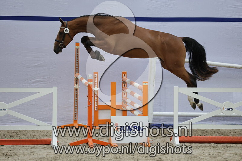 Sera di Bella v. Ci Ci Senjor ASK