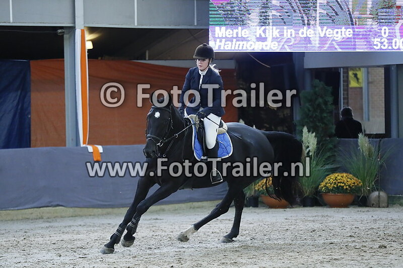 merle kijk in de vegte