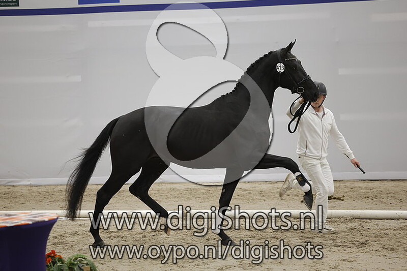 Primetime v. Jameson RS2 - 413