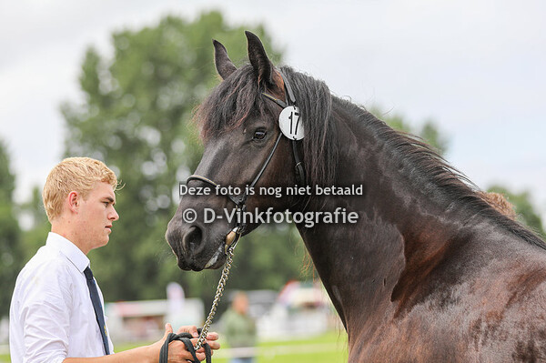 17. Utah van de Hoeksche Hoeve