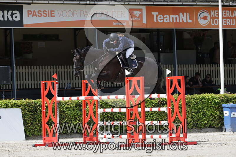 Paarden 1.30 m 2e manche