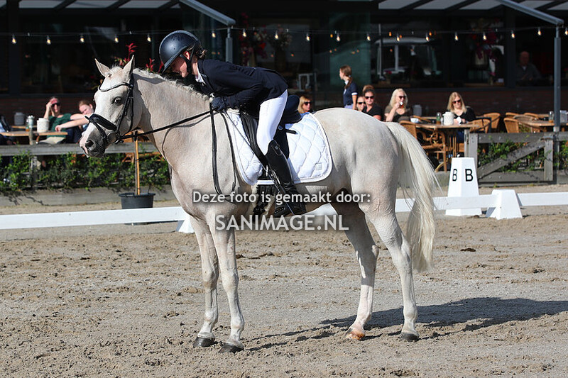 Zilfia's Hoeve Dressuur 01-10-2023 Paarden/Pony's B