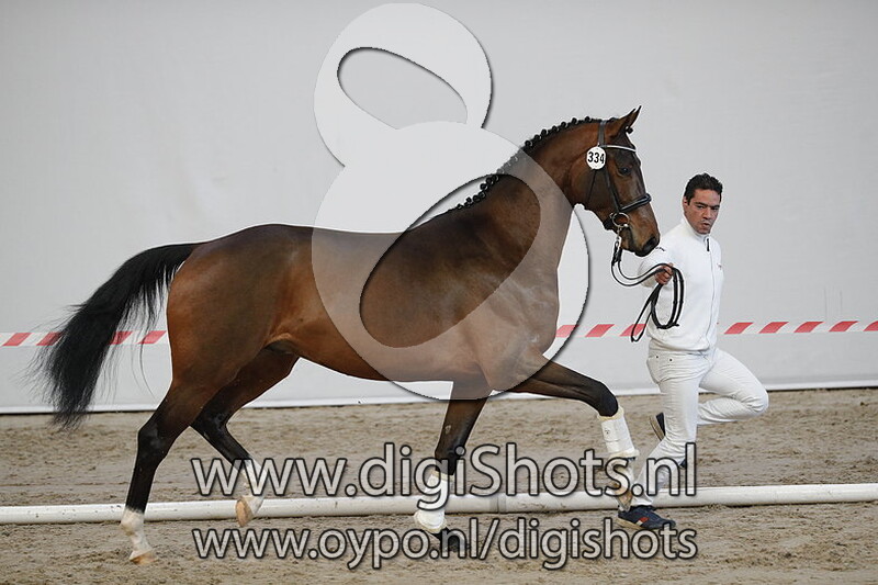 My Deal vd Watermolen v. Daily Diamond