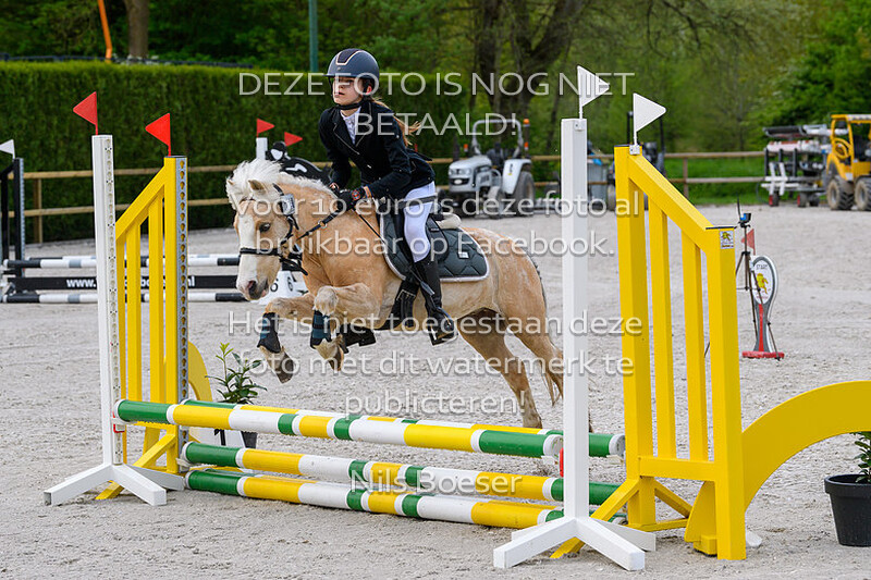 1 ponies klasse 50cm