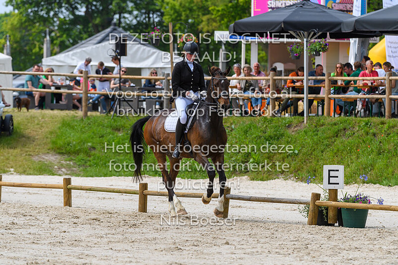 D3 Dressuur Klasse ZZ-L