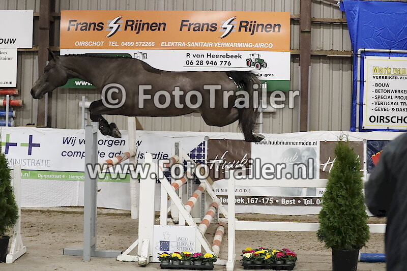 951 - Parikia van de Cruyenvelden