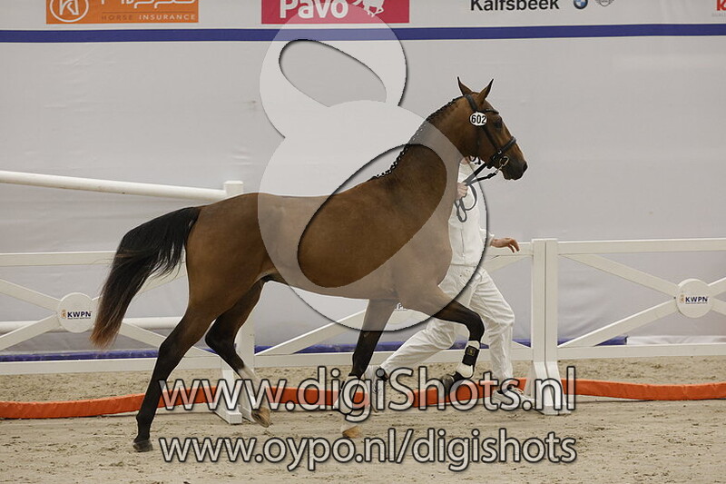 Ready For Take Off G W v. Dancier Gold - 602