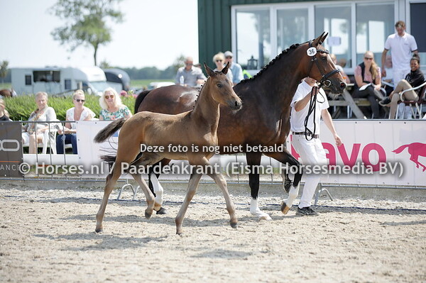 36 Summer of Liberty (So Perfect x E. Bailey v. Zhivago)