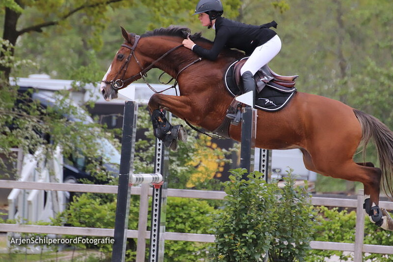 Tolbert 16-05-2019 M