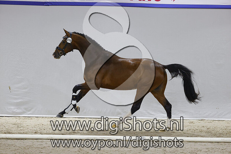 Norton TC v. Just for You