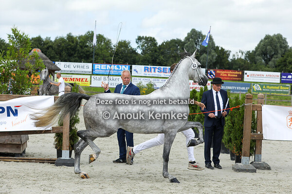 62 - Soraya ( Magnifiek x Bentley VDL)