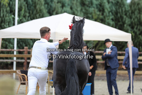 96. Hester fan 't Haskerfjild