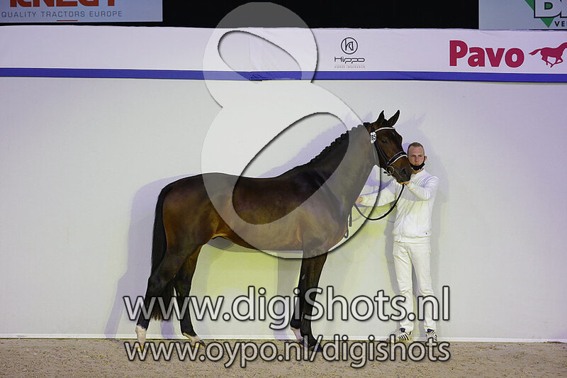 Neville v. Painted Black