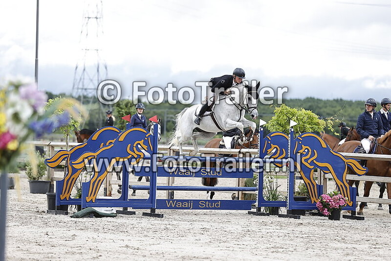 dennis van den brink