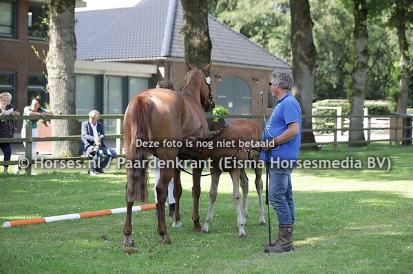 36 Gamantha Fortuna (Singapore x Camantha Fortuna v. Verdi)