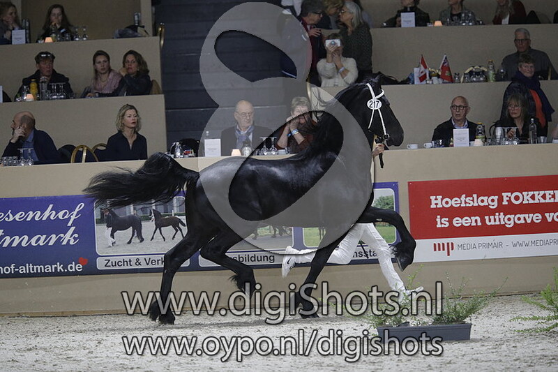 Edon van Groot Altena