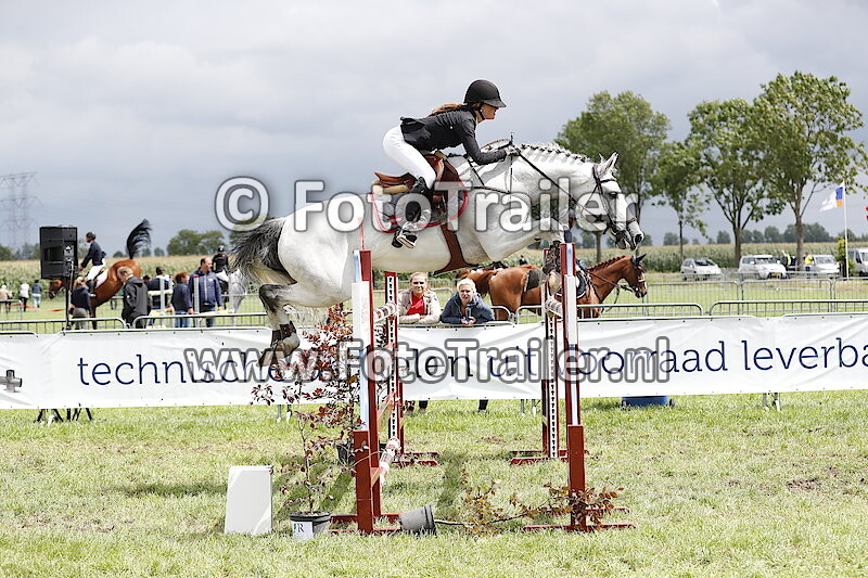 Marlie van de Wetering