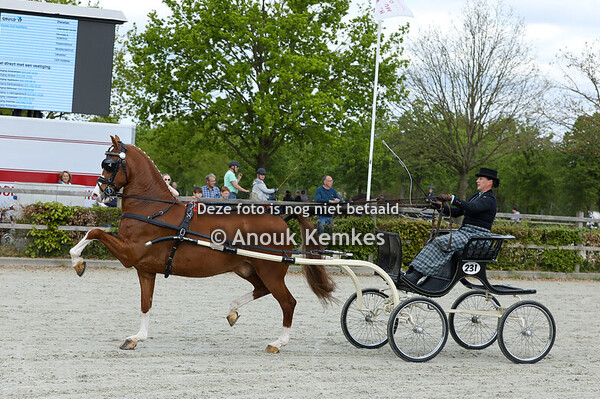 Regionaal Noord - Hoge Limiet 