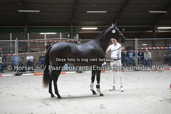 64  Magic Lady (Florencio x Biona v. Flemmingh)