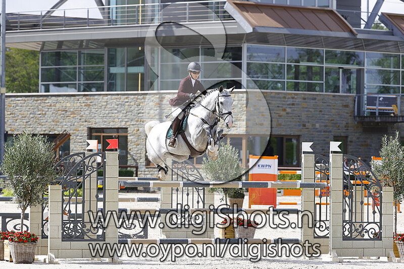 Jelster van stal romano