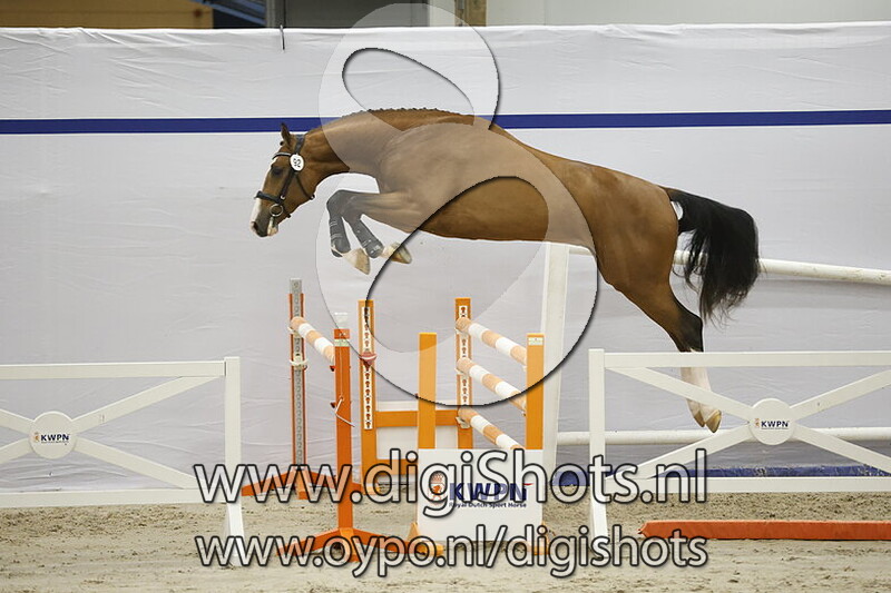 Simon PL v. Grandorado TN