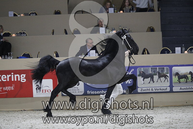 Daan fan e Middelsee