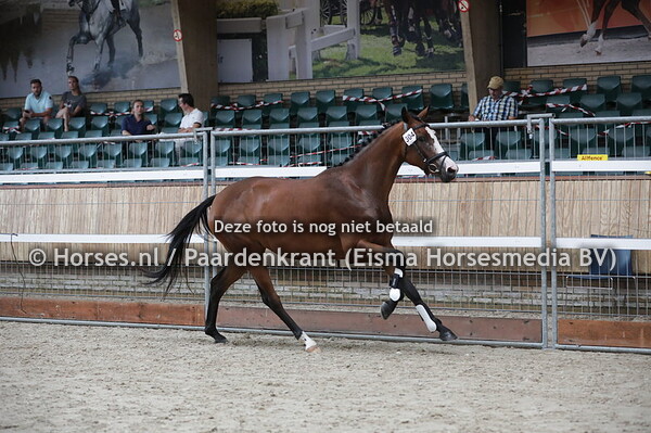 304 My-Tira (Dettori x I-Tira v. Breezer)