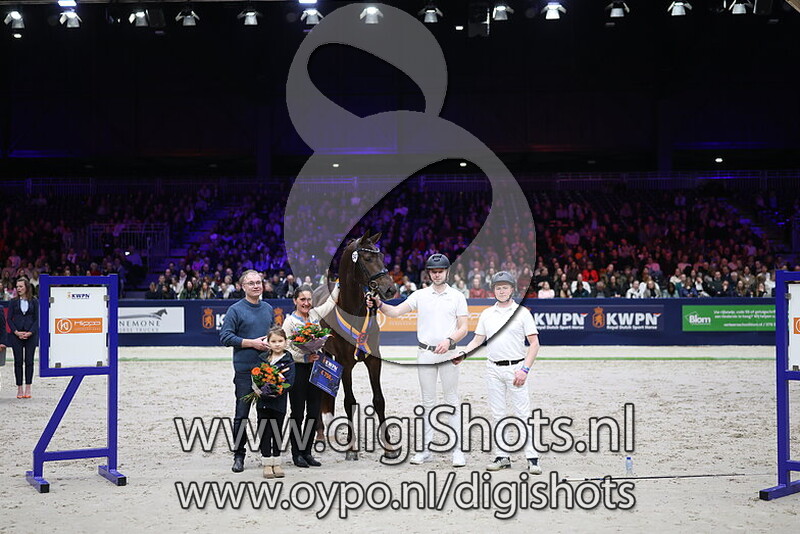 Scott Nicolas v. For Romance